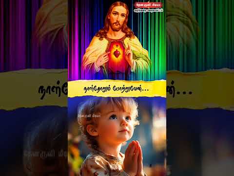 Tamil Catholic Status song-Tamil Catholic Status song (நன்றி சொல்லாமல் இருக்கவே) - 31.12.2024)