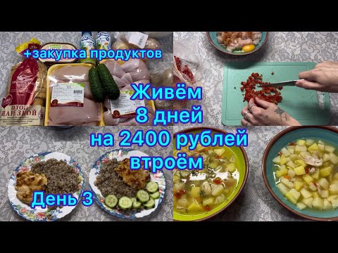 Живём 8 дней на 2400 рублей втроём . Экономное меню на семью . День 3