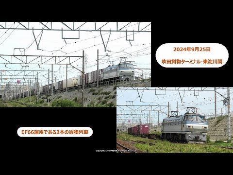 EF66運用である2本の貨物列車の撮影です。（R6.9.25）