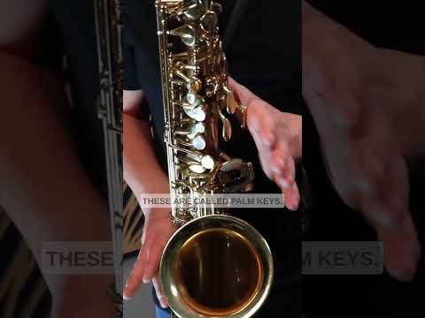 Strange Sax Keys Explained #altosax #saxophonelessons #saxophone #saxlessons