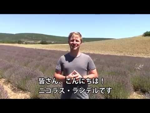 【ヤング・リヴィング】ラベンダー農家ニコラス・ランデル