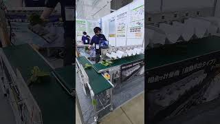 葉物野菜の自動計量包装システム