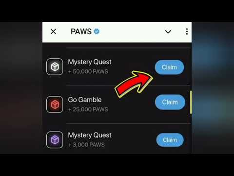 paws mystery quest solved |mystery quest|paws | paws solved||