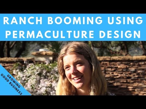 Permaculture design based ranch booming using holistic ranch management