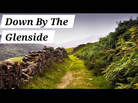 Down By The Glenside  ( Old Irish Cover Song )