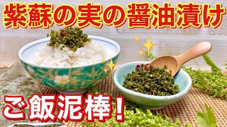 紫蘇（大葉）の実の醤油漬けの作り方♪プチプチ食感と紫蘇の実の爽やかな香りでご飯が最高にすすみます。密閉袋で簡単に出来長期保存も可能です。