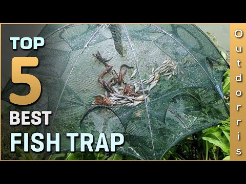 Top 5 Best Fish Traps Review in 2023