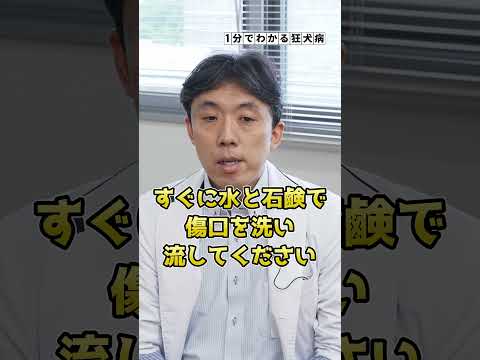 狂犬病の症状と予防策を1分で解説！【1分でわかる感染症】