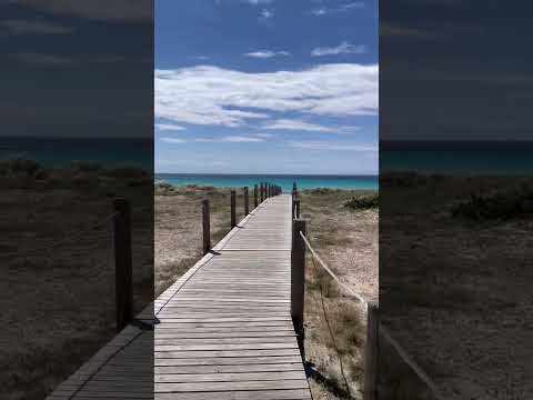 Going to the Son Bou Beach 🏝️☀️😎 #sonbou #beach #spain