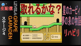 【星のカービィ　夢の泉の物語】攻略　LEVEL４　ステージ４　壁の向こうの1upの取り方　スローの能力紹介　ゲームリハビリ