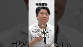 皆さんは歯ブラシ濡らす？濡らさない？#shorts