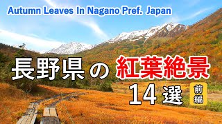 Top 14 best Autumn Leaves in Nagano, Japan (Part 1) / Hakuba, Togakushi, Shiga Kogen, Kirigamine