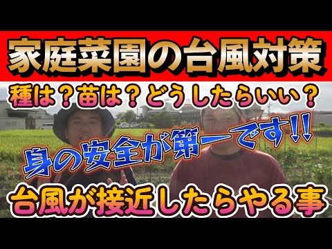 【家庭菜園】大型台風接近!!畑での台風対策7選!!自分の身を第一に、余裕があれば野菜も畑も守ろう!!【農業初心者】【農業】【園芸】