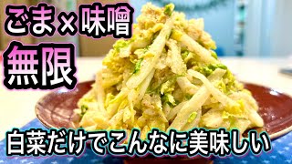 【大量消費】決めては味噌！マンネリ解消！白菜が無限に食べられる保存版レシピ【作り置き＆お弁当に】