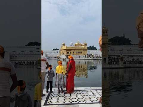 The Golden temple, Amritsar, Punjab, #shortsvideo #goldentemple