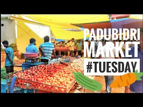 Padubidri Market|Coastal Karnataka| Indian Local Market