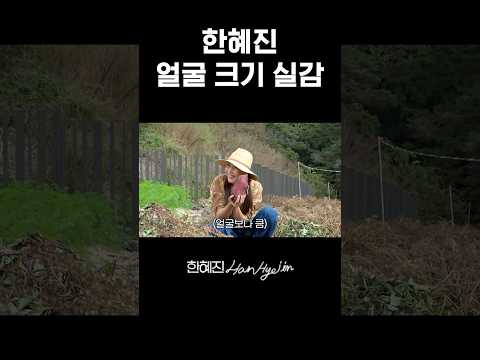 사실 한혜진은 엄청난 소두 인간이야 #한혜진 #시골별장 #얼굴크기 #shorts