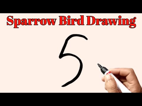 Sparrow Drawing Easy | Easy Sparrow Bird Drawing From Number 5 | Sparrow Drawing