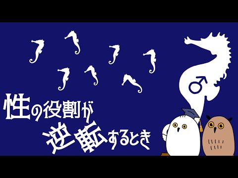 【ゆっくり解説】子育ては♀の役割?：性役割の逆転【 進化論 / 性教育 / 科学 】