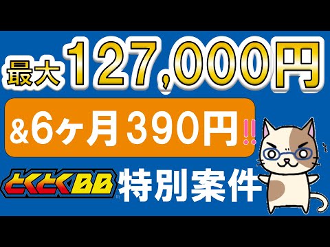 【光回線特別案件】トクトクBB光「鬼安キャンペーン」！月額値引、キャッシュバックetc☆