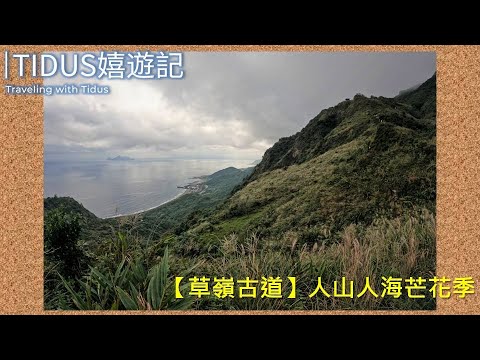 【2022草嶺古道】人山人海芒花季