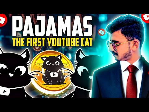 🚀The First Youtube Cat $PAJAMAS || BEST PLANS FOR DAILY EARNING CAT JOIN NOW🔥