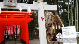 ~戰魂屋~ 日本行 日本東京 偕樂園 常磐神社 賞梅的好地方