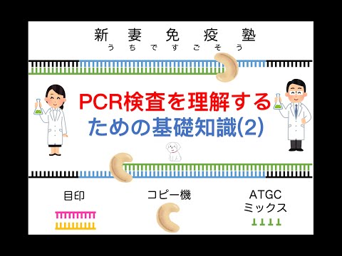 ⑭PCR検査を理解するための基礎知識(2)