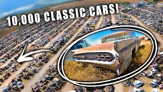 Ten Thousand Unrestored Classic Cars - This Place is Unbelievable!