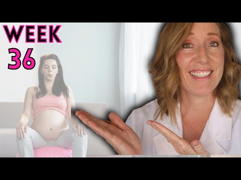 36 Weeks Pregnant |  Signs of Labor | What to Expect at 36 Weeks