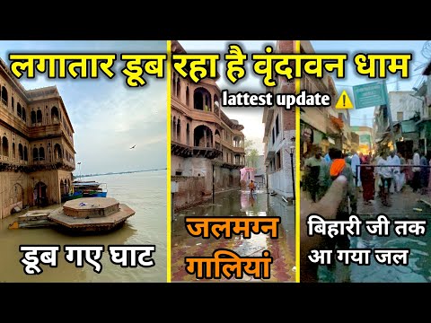 Vrindavan flood | डूब रहा है वृंदावन बिहारी जी की चौखट तक पहुँचा यमुना जल | suraj Brijwasi