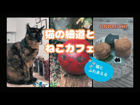 尾道　猫の細道とねこカフェ🐈 ねことふれあえるねこカフェにも行きました‼️猫の細道を歩くときのおすすめ散策ルートを最初から最後までご紹介します‼️