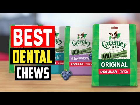 ✅ Top 5 Best Dental Chews for Dogs in 2023