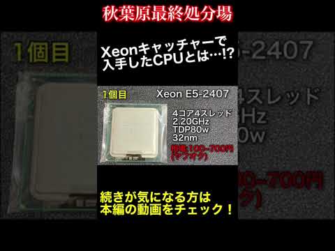 [秋葉原最終処分場]Xeonキャッチャーで入手したジャンクCPUの性能は如何に!?