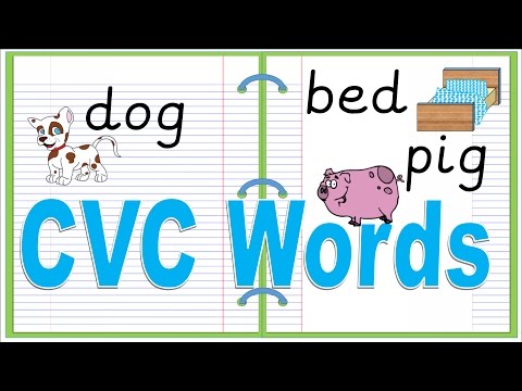 CVC Words Reading Practice Real and Nonsense Words