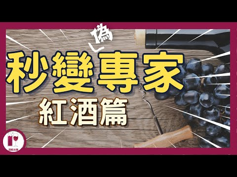 【品酒技巧】四款必須認識的紅葡萄品種，讓你看起來像葡萄酒專家｜葡萄酒入門 | 葡萄酒知識 | 認識它們，就認識全世界一半的葡萄酒風格｜全球廣泛種植的葡萄酒品種（紅葡萄篇） (粵語中字) 【酒瓶故事】