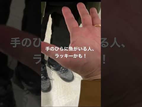 珍しいフィッシュの手相！？ 大阪・梅田の地下街で500円占いのお兄さん見っけ！（夫編） #shorts