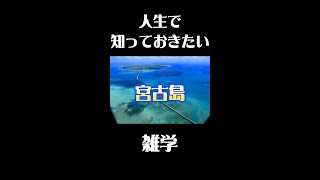 宮古島の意外な雑学#歴史 #観光 #雑学 #旅行ガイド #旅行