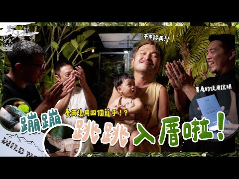 蹦蹦跳跳入厝！養兩隻用四籠？有木木的肯定！『野人七號部落』  變色龍系列(三)    @rgbc.chameleon