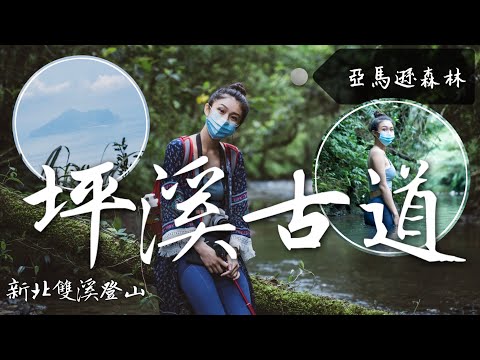 新北景點-丁小羽帶你們去輕鬆好走的消暑秘境-坪溪古道！出發淡蘭古道坪溪段！