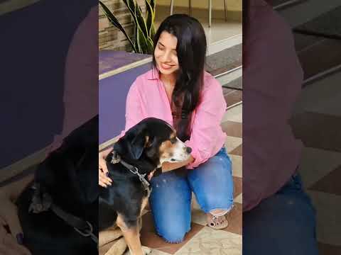 My Happiness ❤️ #doglover #dog #shorts #shortvideo #viralreels #trending #happiness