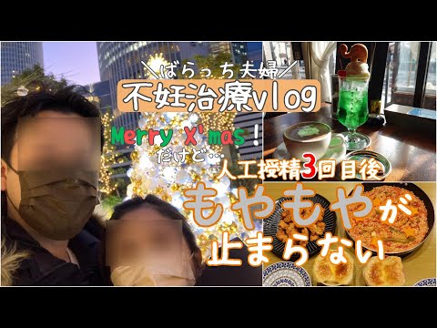 【不妊治療】人工授精3回目後/もやもやが止まらない/クリスマス/デート/1人目妊活中