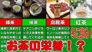 【ゆっくり解説】自分に合ったお茶を選ぼう！各お茶の栄養について解説！パート1