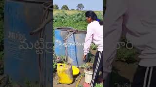 Mattidhraavanam Thayaari | Soil Spray | Soil Application | @Indarapu Srinivas rao