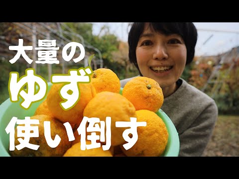 【ゆず大量消費】柚子は皮も種も捨てるところなし！ゆず30個全部使い切り！