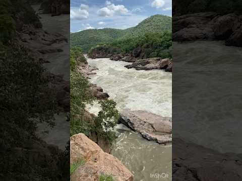 Sangam Mekedatu #kanakapura #mekedatu #waterfall #hills #river #shorts #vlog #travel #wild #rider