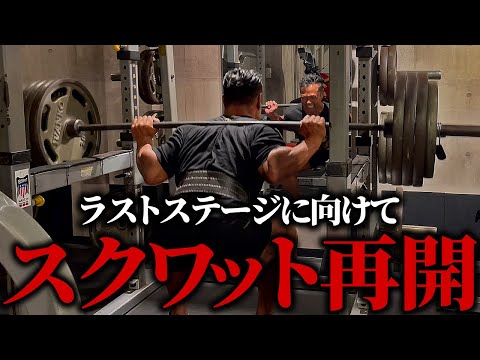 【原点回帰】現役最後のステージへ。封印していたスクワットを再開しました。