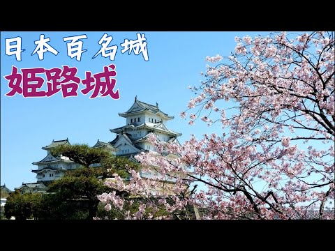 【姬路城】日本第一名城｜世界文化遺產｜國寶五城｜2023日本櫻花季｜現存12天守｜日本旅行｜日本櫻名所100選｜關西自由行｜Japan travel｜Himeji｜白鷺城｜さくら｜桜｜日本古城｜兵庫県