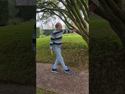 Can't climb this tree! #adventure #gardening #treeclimbing #arboretum #permaculture #explore #garden