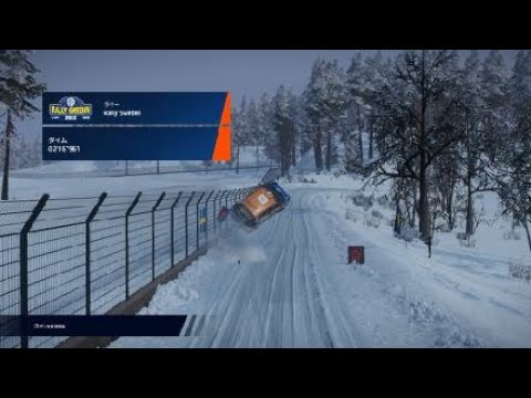 WRC Generations – The FIA WRC Official Game_20241123090153